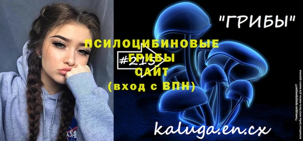молекула духа Алзамай