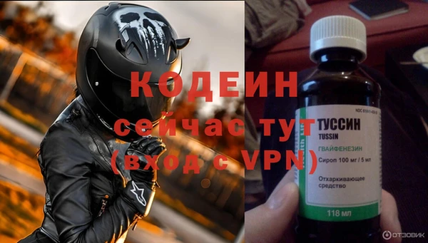 молекула духа Алзамай